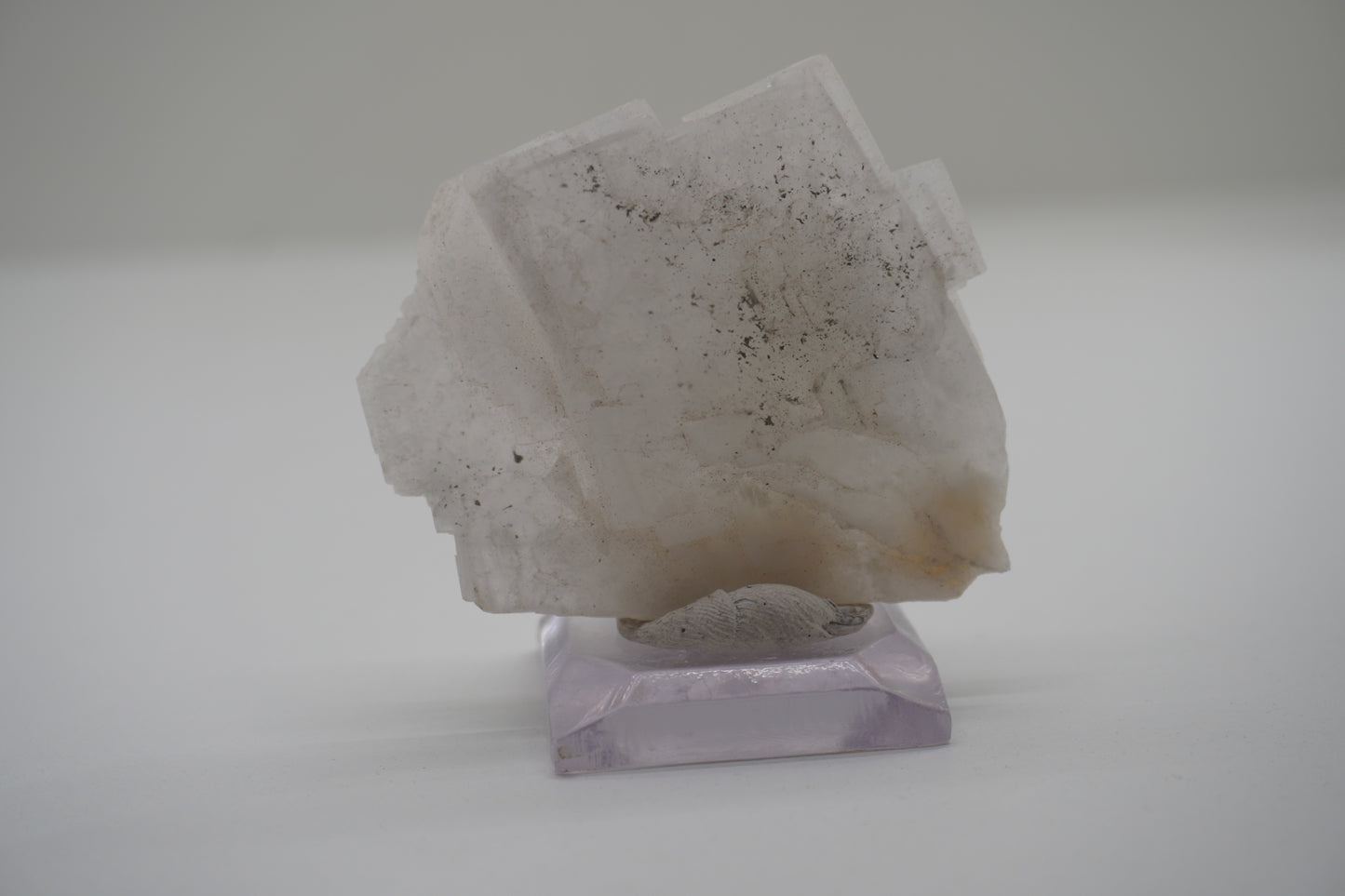 Barite (Spruce Ridge, WA)