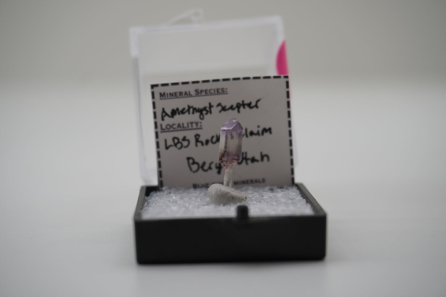Amethyst Scepter (LBS Rocks Claim, Beryl, UT)