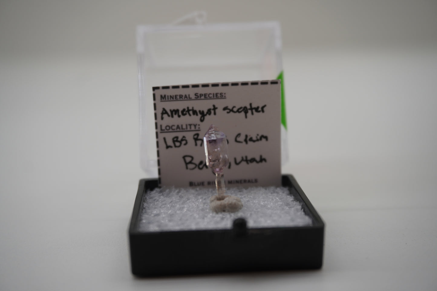 Amethyst Scepter (LBS Rocks Claim, Beryl, UT)
