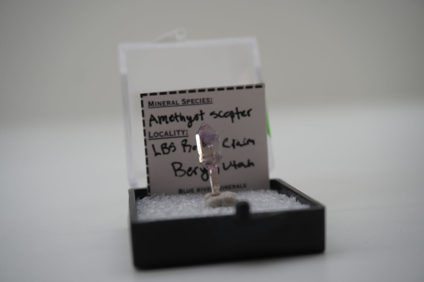 Amethyst Scepter (LBS Rocks Claim, Beryl, UT)