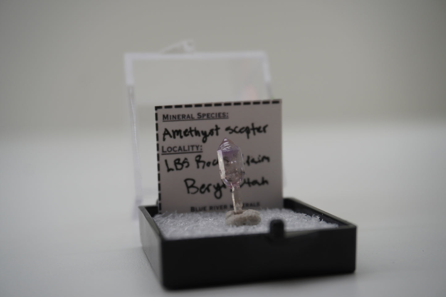 Amethyst Scepter (LBS Rocks Claim, Beryl, UT)