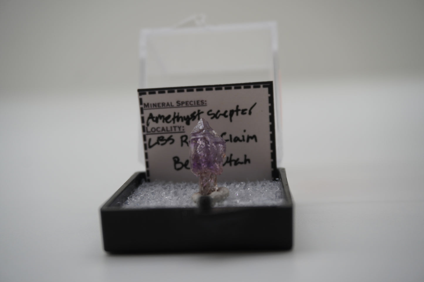 Amethyst Scepter (LBS Rocks Claim, Beryl, UT)