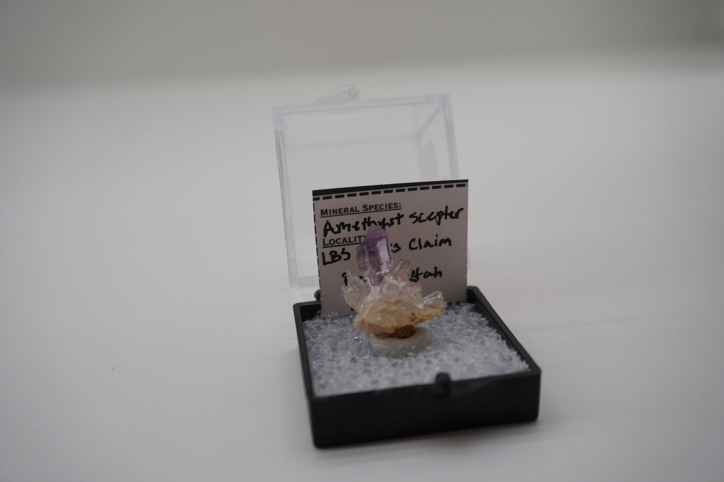 Amethyst Scepter (LBS Rocks Claim, Beryl, UT)