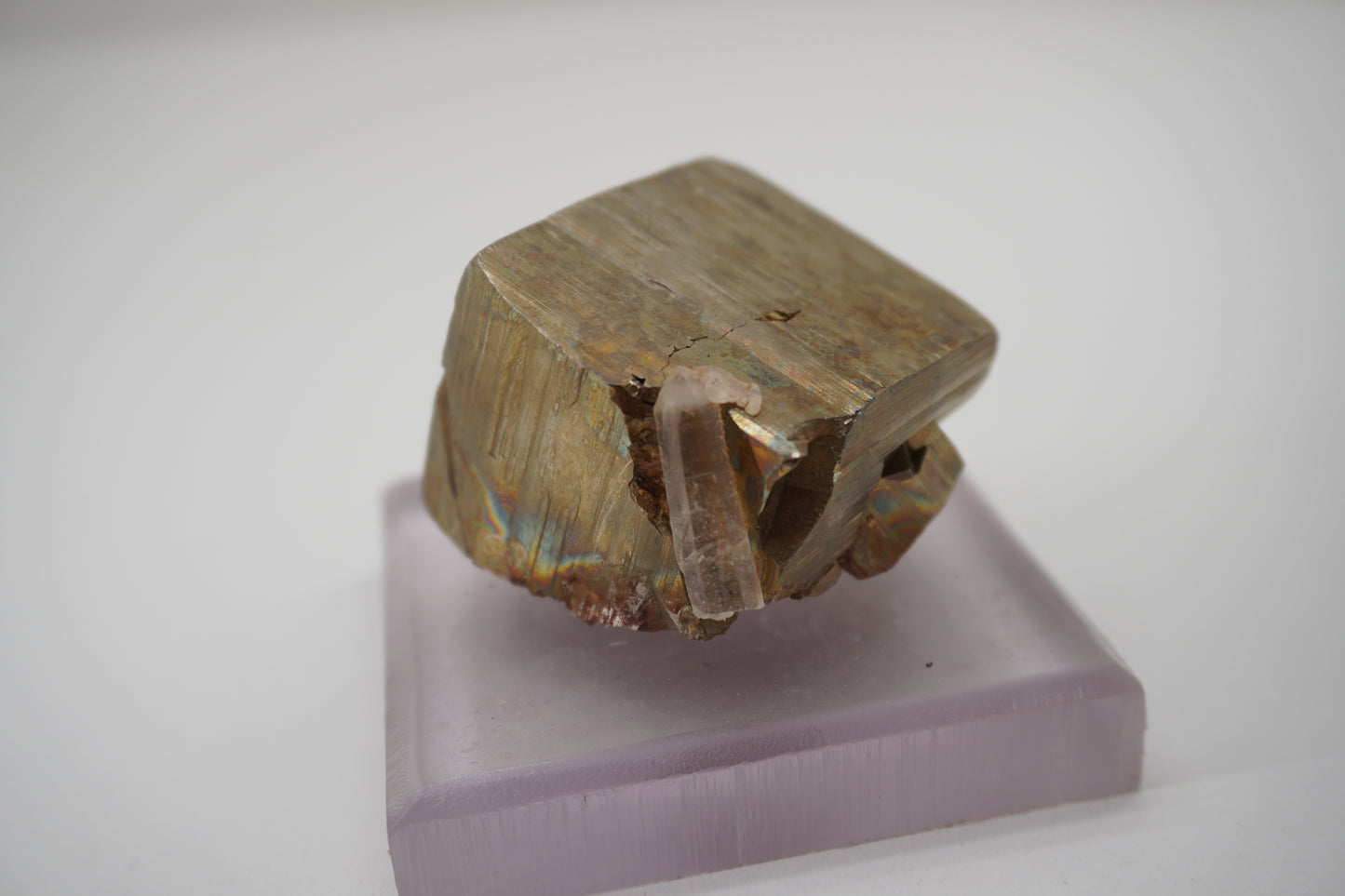 Pyrite w/ Quartz (Spruce Ridge, WA)