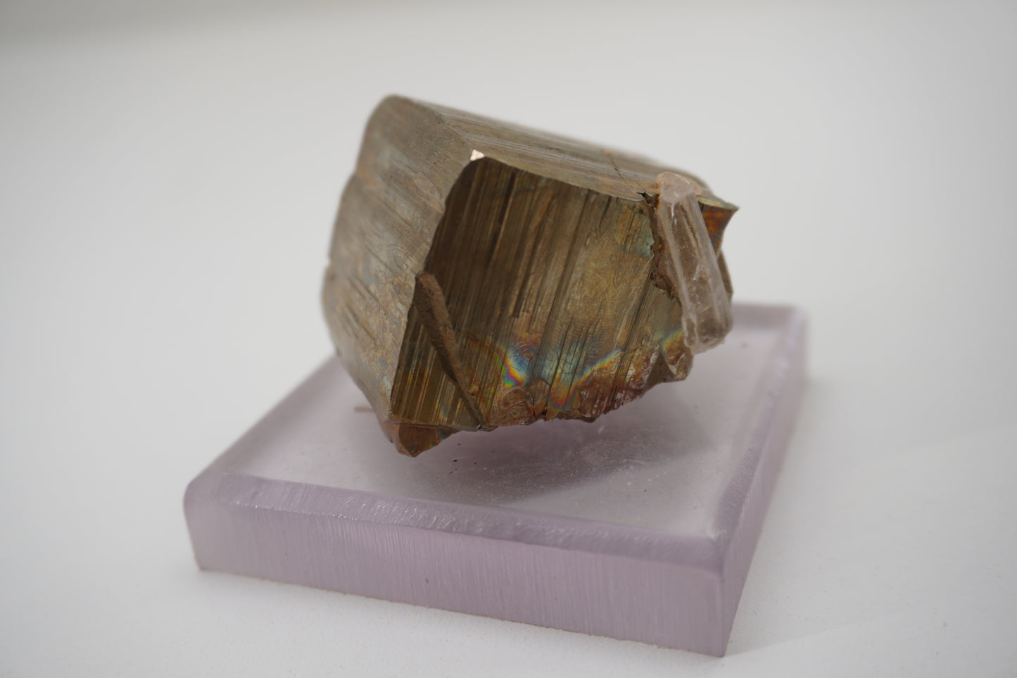 Pyrite w/ Quartz (Spruce Ridge, WA)
