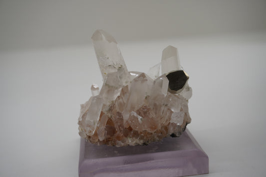 Pyrite on Quartz (Spruce Ridge, WA)