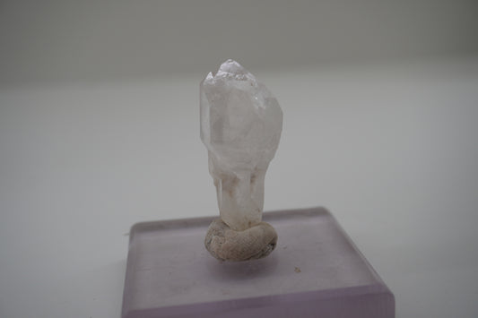 Quartz Scepter (Spruce Ridge, WA)