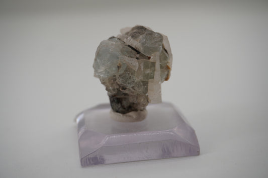 Barite and Fluorite (Blanchard Mine, NM)