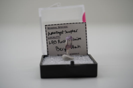 Amethyst Scepter	(LBS Rocks Claim, Beryl, UT)