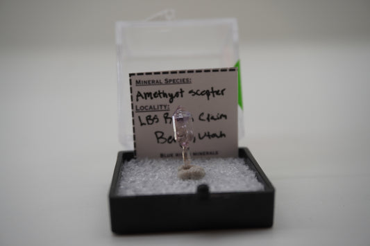 Amethyst Scepter	(LBS Rocks Claim, Beryl, UT)