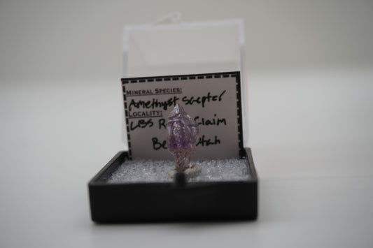 Amethyst Scepter	(LBS Rocks Claim, Beryl, UT)
