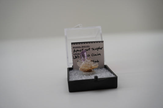 Amethyst Scepter	(LBS Rocks Claim, Beryl, UT)