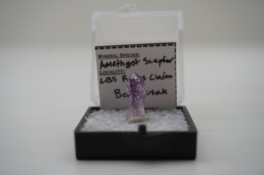 Amethyst Scepter	(LBS Rocks Claim, Beryl, UT)