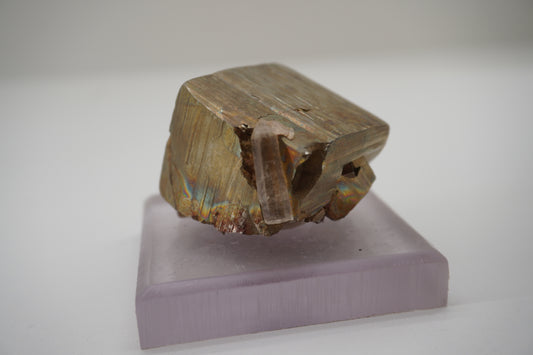 Pyrite w/ Quartz (Spruce Ridge, WA)